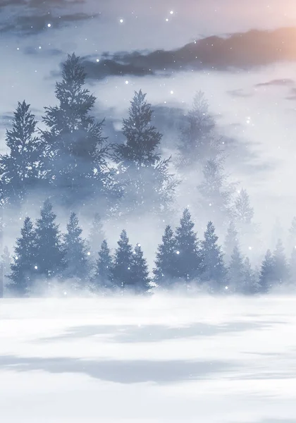 Forêt Sombre Scène Sombre Sombre Avec Arbres Grande Lune Clair — Photo