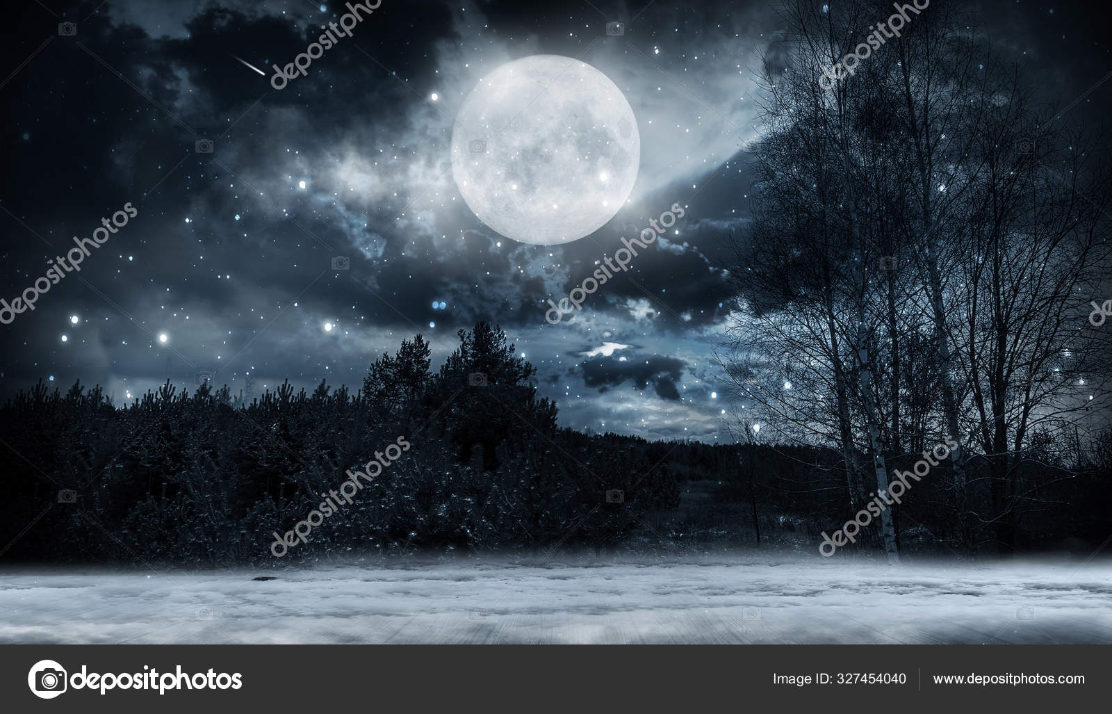 Темный Зимний Лесной Фон Ночью Снег Туман Лунный Свет Темный.