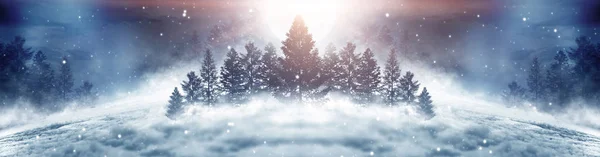 Dark Winter Forest Background Night Snow Fog Moonlight Dark Neon — Stock Photo, Image