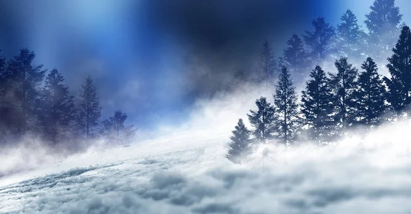 Donkere Winter Bos Achtergrond Nachts Sneeuw Mist Maanlicht Donkere Neon — Stockfoto