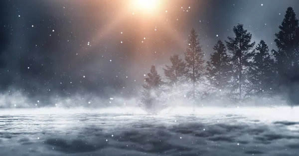 Dark Winter Forest Background Night Snow Fog Moonlight Dark Neon — Stock Photo, Image