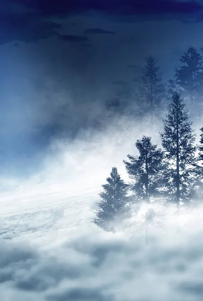 Dark winter forest background at night. Snow, fog, moonlight. Dark neon night background in the forest with moonlight. Neon figure in the center. Night view, magic.