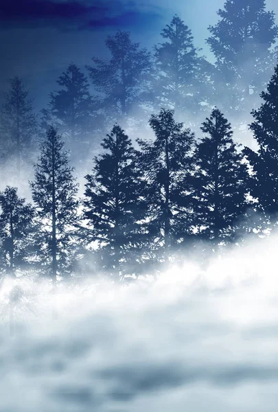 Fondo Oscuro Del Bosque Invierno Por Noche Nieve Niebla Luz — Foto de Stock