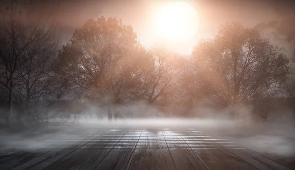 Mörk Vinter Skog Bakgrund Natten Snö Dimma Månsken Mörk Neon — Stockfoto