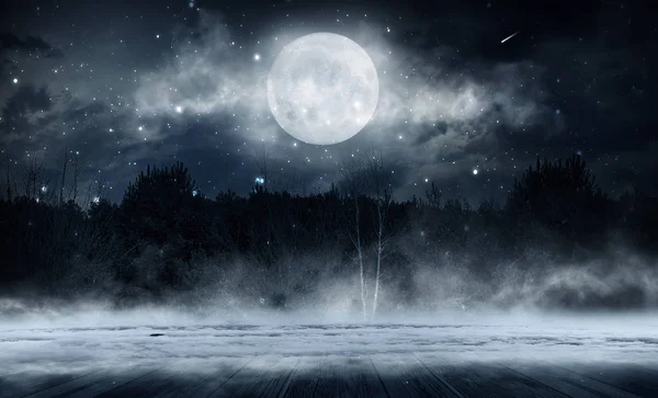 漆黑的冬季森林背景在夜晚 黑暗的霓虹灯夜晚背景在月光下的森林里 中间是霓虹灯 — 图库照片