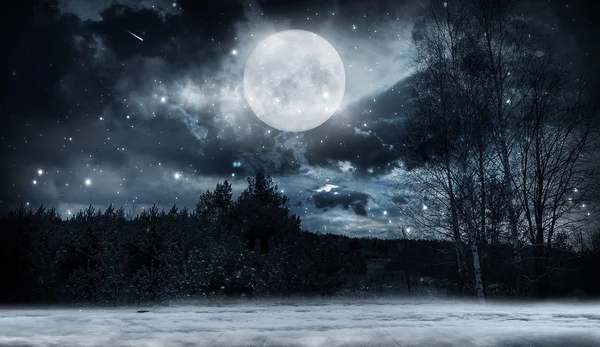 漆黑的冬季森林背景在夜晚 黑暗的霓虹灯夜晚背景在月光下的森林里 中间是霓虹灯 — 图库照片