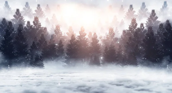 Σκοτεινό Χειμερινό Δάσος Νύχτα Χιόνι Ομίχλη Σεληνόφως Σκοτεινό Νυχτερινό Φόντο — Φωτογραφία Αρχείου