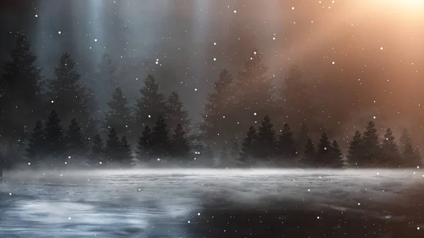 Geceleri Karanlık Kış Ormanları Kar Sis Işığı Ormanda Işığı Olan — Stok fotoğraf