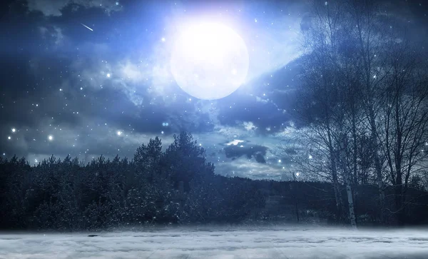 Темный Зимний Лесной Фон Ночью Снег Туман Лунный Свет Темный — стоковое фото