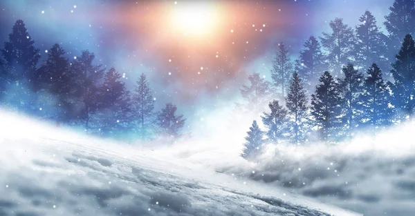Зимний Абстрактный Пейзаж Солнечный Свет Зимнем Лесу — стоковое фото