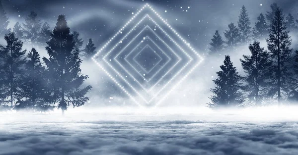 Winter Abstract Landschap Zonlicht Het Winterbos — Stockfoto