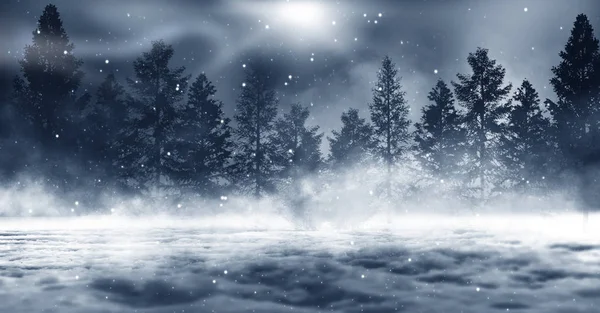 冬の抽象的な風景 冬の森の日光 — ストック写真