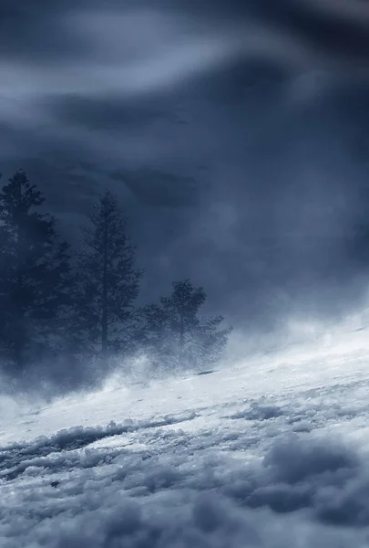 Χειμερινό Αφηρημένο Τοπίο Φως Του Ήλιου Στο Χειμερινό Δάσος — Φωτογραφία Αρχείου