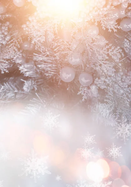 Зимний Абстрактный Синий Фон Еловыми Ветвями Снегу Боке Солнечный Свет — стоковое фото