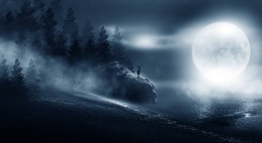 Dramatik siyah beyaz arka plan. Bulutlu gece gökyüzü, ay ışığı, kaldırımda yansıma. Gece karanlık bir sokakta duman ve sis. Gece fütüristik manzara, soğuk gece.