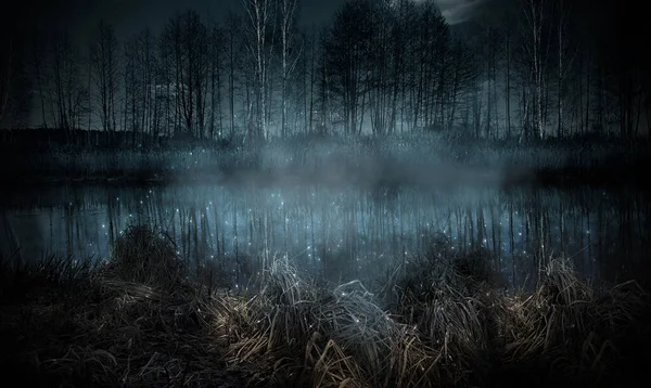 Тёмный Мрачный Лес Ночь Лесу Сцена Природы Лесом Лунным Светом — стоковое фото