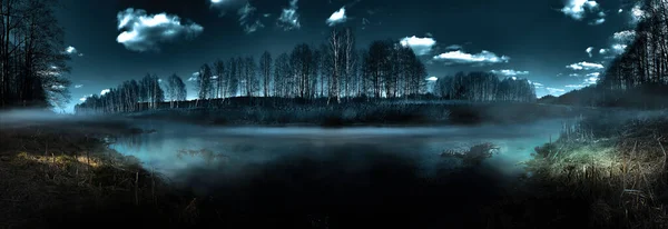 Dark Gloomy Forest Night Forest Nature Scene Forest Moonlight Night — Stock Photo, Image