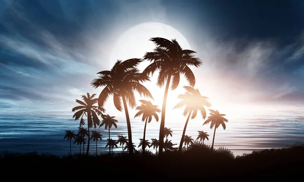 夜景与棕榈树相映成趣 背景为霓虹落日 日落时在海滩上的椰子树轮廓 未来的风景 霓虹灯棕榈树热带日落 3D插图 — 图库照片
