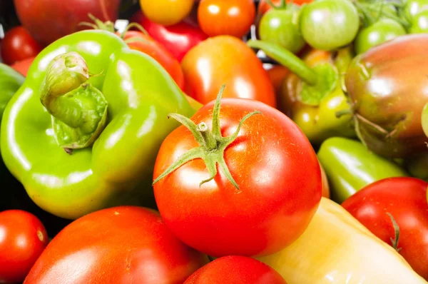 Tomates de verduras e pimentão — Fotografia de Stock