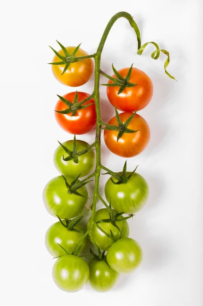 Red green yelow tomato bunch — Stock Photo, Image