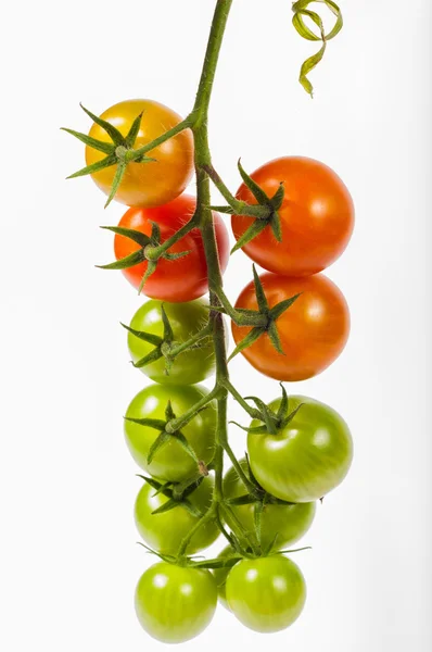 Red green yelow tomato bunch — Stock Photo, Image