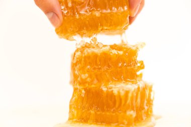 Tatlı Petek, üzerinde beyaz izole