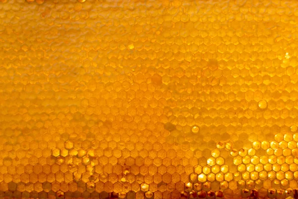 Arka plan doku ve desen balmumu bir bölümünün fro petek