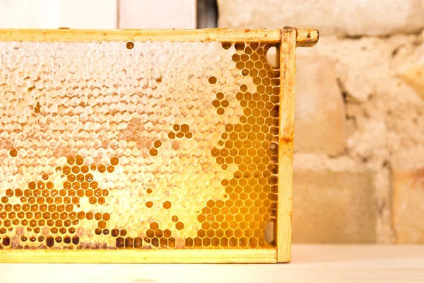 蜂蜜でいっぱいのハニカムと木製のフレーム — ストック写真