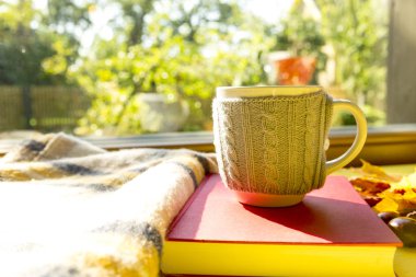 Sonbahar yaprakları, kitap, kestane, eşarp ve sıcak çikolata. F