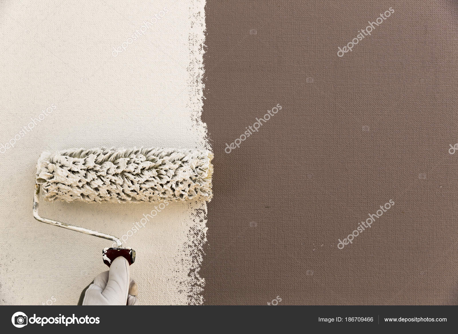 Decorators Hand Painting Wall White With Roller Stock Photo