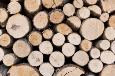 Odun kış, yakacak odun yığınları, yakacak odun yığını için. P