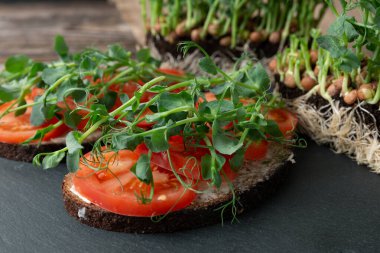 Siyah toprakta büyüyen bezelye filizleri. Sağlıklı beslenme, vejetaryen dolandırıcılığı