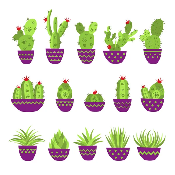 Vetores de Desenho Animado Família Cactus Desenho Animado Ícone Vetorial  Isolado Ilustração Vetorial Isolada Família Feliz Personagem De Cactos  Engraçado Print Na Camiseta Cartão Adesivo e mais imagens de Cacto - iStock