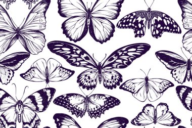 Morpho menelaus, morpho rhetenor cacica, cethosia biblis, papilio antimachus, alcides agathyrsus, ornithoptera priamus, hebomoia glaucippe, danaus chrysippus stock illustration