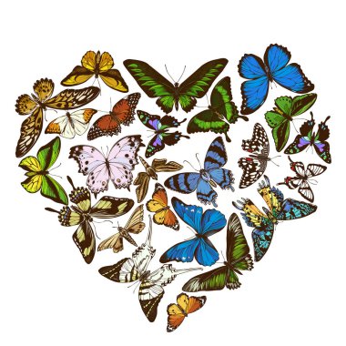 Renkli morpho menelaus, graphium androcles, morpho rehetenor cacica, papilio demoleus, cethosia biblis, papilio antimachus, alcides agathyrsus, ornithoptera priamus, ornithoptera croesus lydius, graphium weiskei, ambulyx pryeri, the