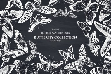 Tebeşir papilio ulysses, morpho menelaus, grahium androcles, morpho rhetenor cacica, papilio demoleus, cethosia biblis, papilio antimachus, alcides agathyrsus, ornithoptera croesus lydius, graphium weiskei,