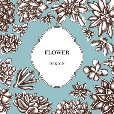 Sulu echeveria, sulu echeveria, leziz stok çizimi olan tasarım üzerine rozet.