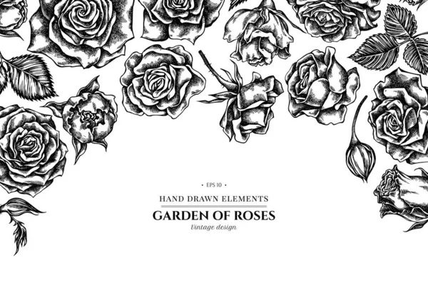 Diseño Floral Con Ilustración Stock Rosas Blanco Negro — Archivo Imágenes Vectoriales