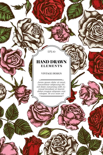 Diseño Tarjetas Con Ilustración Stock Rosas Colores — Vector de stock
