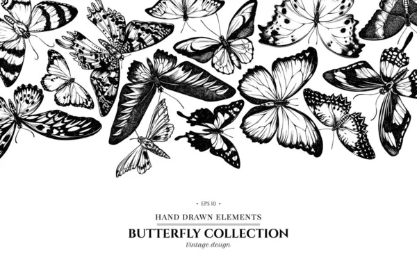 Design Med Svart Och Vitt Morfomenelaus Cethosia Biblis Papilio Antimachus — Stock vektor