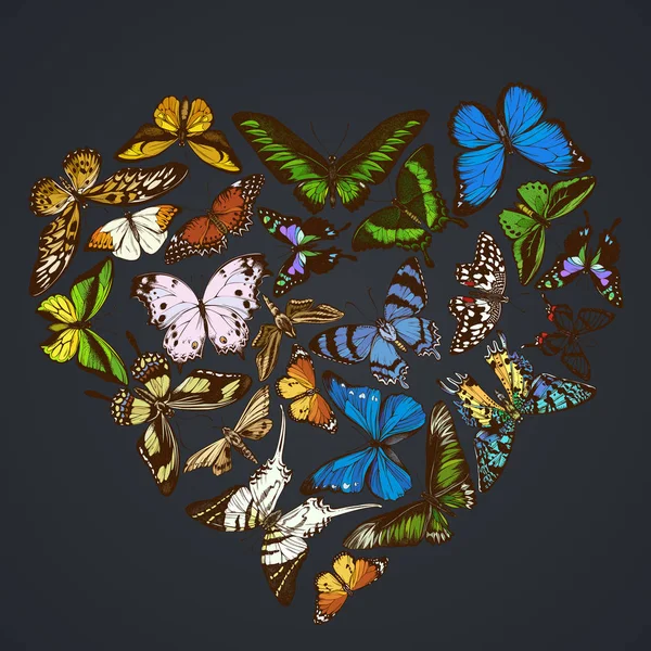 Diseño Del Corazón Sobre Fondo Oscuro Con Morpho Menelaus Graphium — Vector de stock