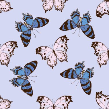 Elle çizilmiş kusursuz desenli alcides agathyrsus, salamis parhassus