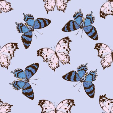Seamless pattern with hand drawn colored alcides agathyrsus, salamis parhassus clipart