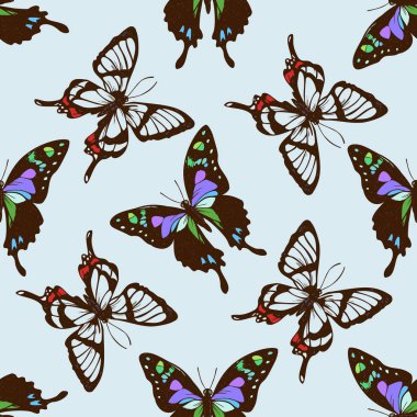 Kusursuz desenli, elle çizilmiş grahium weiskei, korinea octauius