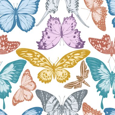 El yapımı pastel papilio Ulysses, morpho menelaus, grahium androcles, papilio demoleus, cethosia biblis, papilio antimachus, theretra oldenlandiae, salamis parhassus, danaus