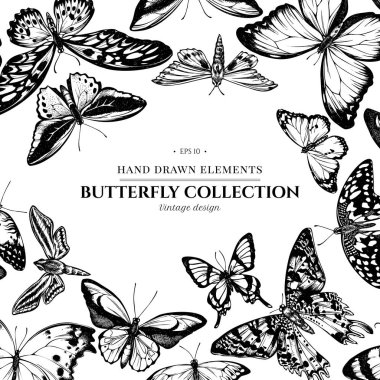 Siyah beyaz papilio Ulysses, morpho menelaus, graphium androcles, morpho rehetenor cacica, papilio demoleus, cethosia biblis, papilio antimachus, alcides agathyrsus, ornithoptera