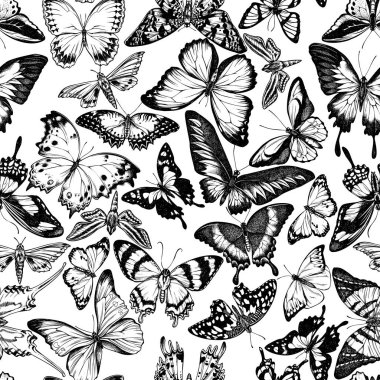 Siyah beyaz papilio Ulysses, morpho menelaus, grahium androcles, morpho rhetenor cacica, papilio demoleus, cethosia biblis, alcides agathyrsus, ornithoptera priamus
