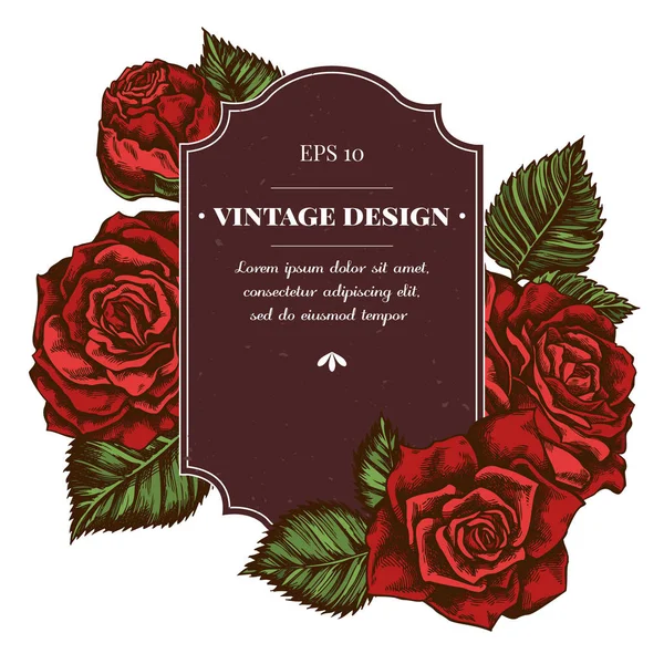 Design de crachá com rosas coloridas — Vetor de Stock