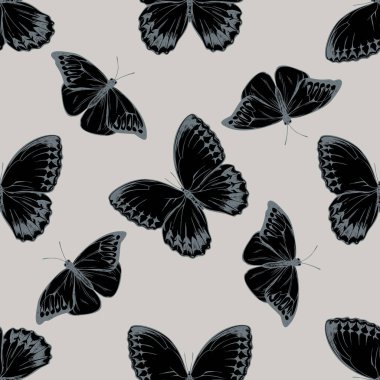 Elle çizilmiş kusursuz desen hebomoia glaucippe, stifthalma howqua