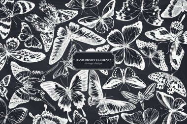 Tebeşir, morpho menelaus, grahium androcles, morpho rhetenor cacica, papilio demoleus, cethosia biblis, papilio antimachus, alcides agathyrsus, ornithoptera